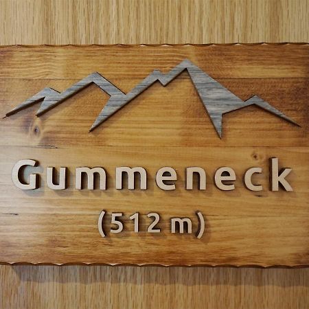 Gummeneck - Stubenhof, Black Forest Simonswald Kültér fotó