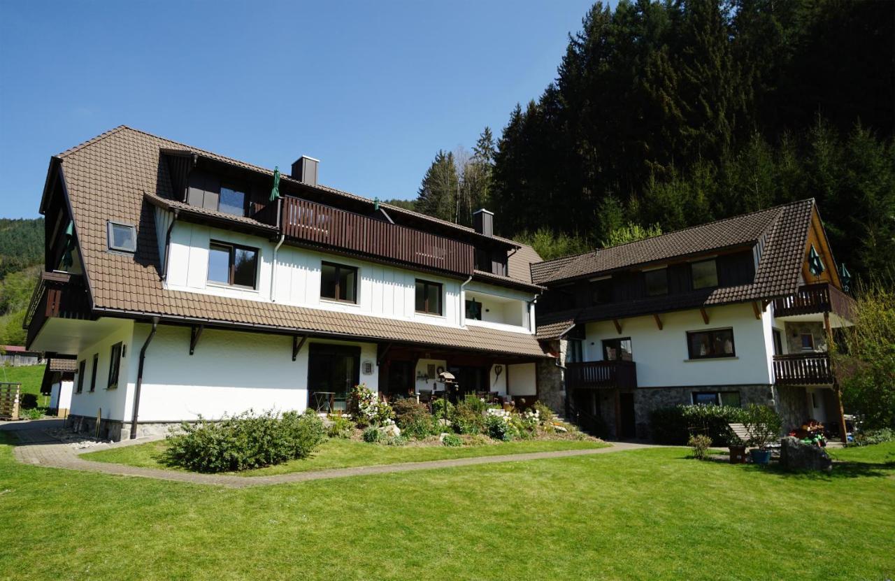 Gummeneck - Stubenhof, Black Forest Simonswald Kültér fotó