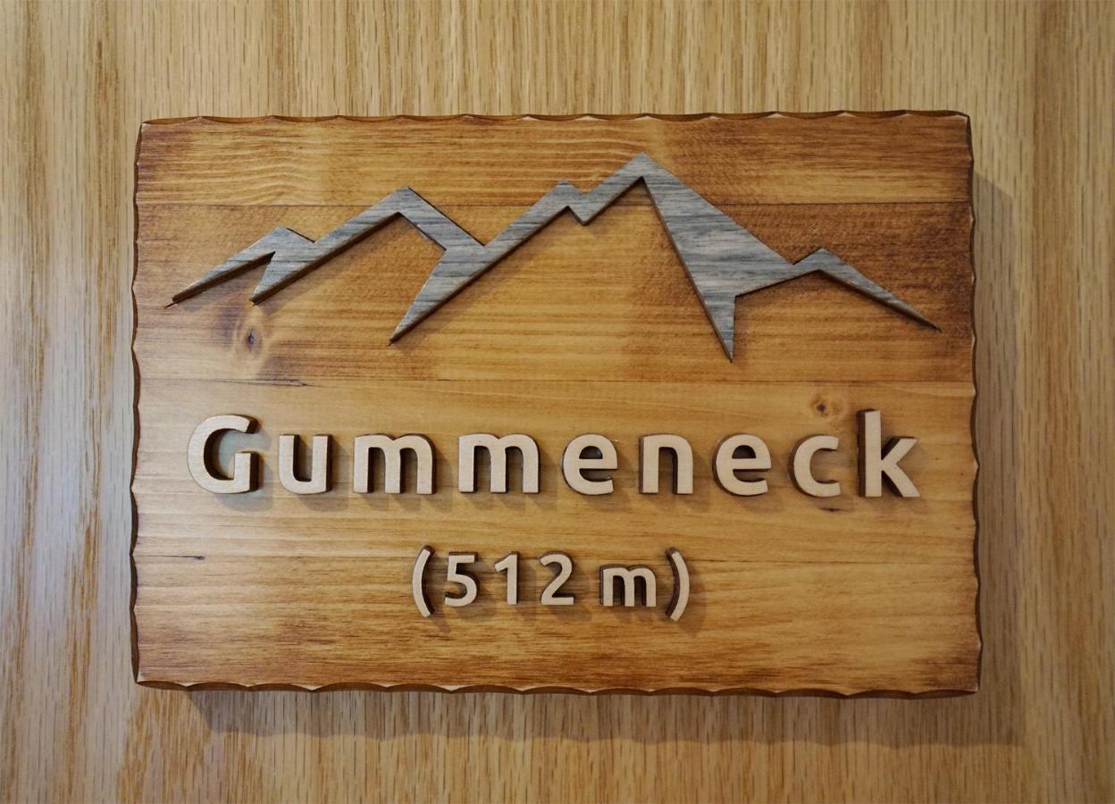 Gummeneck - Stubenhof, Black Forest Simonswald Kültér fotó
